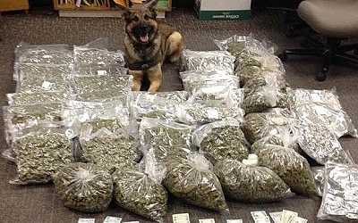 what do police dogs find
